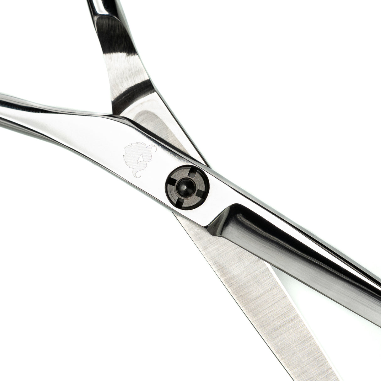 Barber Schere Thin Tips