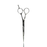 Barber Schere Thin Tips